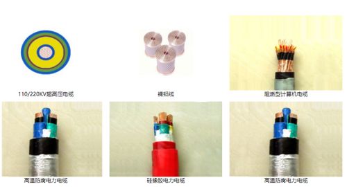 山東智造 綠色創(chuàng)新驚艷全球，環(huán)保產(chǎn)品引領(lǐng)未來市場